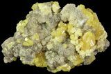 Sparkling Sulfur On Matrix Of Calcite Crystals - Poland #79236-1
